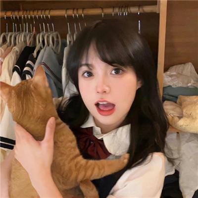 赖猫的狮子倒影